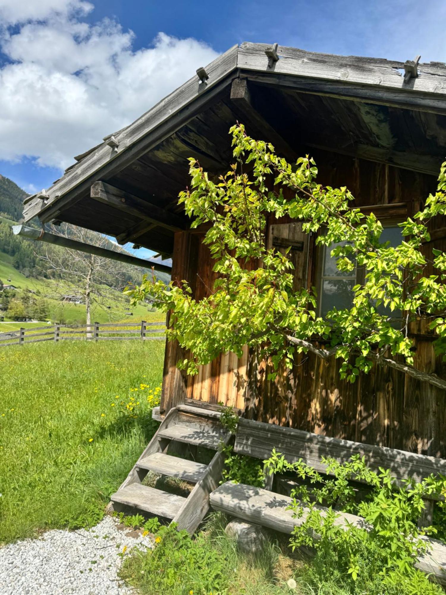 Apartamento Haus Ilmer Neustift im Stubaital Exterior foto